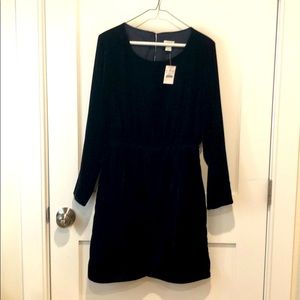 JCrew NWT velvet dress in Navy